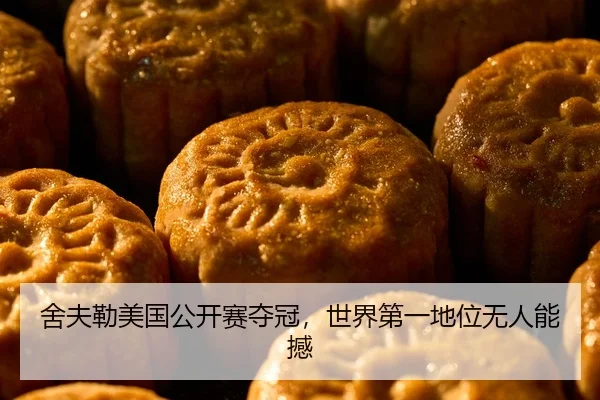 she-fu-lei-mei-guo-gong-kai-sai-duo-guan-shi-jie-di-yi-di-wei-wu-ren-neng-han-2-992.jpg