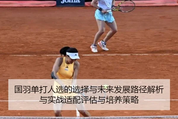 国羽单打人选的选择与未来发展路径解析与实战适配评估与培养策略